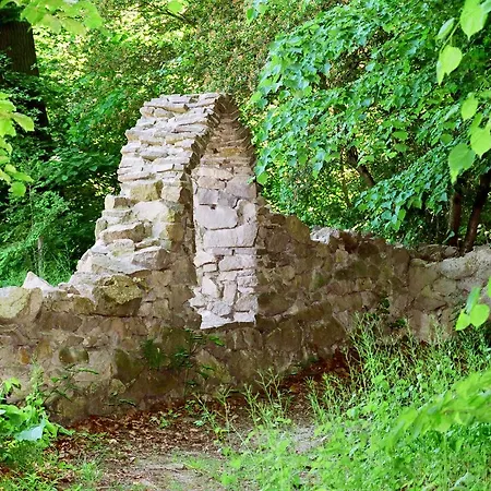 Im Kavalierhaus מלון 3*