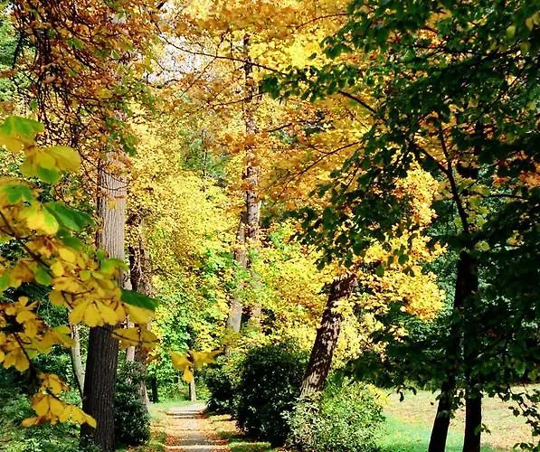 Im Kavalierhaus Hotel 3*